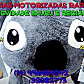 Pelúcias Motorizadas Radically