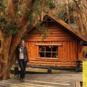 Bosque de Arrayanes
