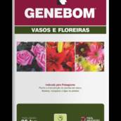 Terra Vegetal