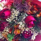Flores