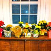 Flores
