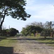Green Ville 1