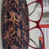Ana Hickmann 6248