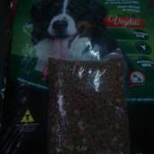 Quidog Plus vegetais 23% de proteínas