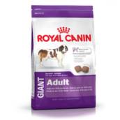 GIANT ADULT ROYAL CANIN