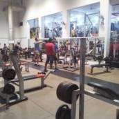 Academia Templo