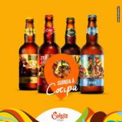 Cervejaria Suinga
