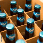 Cervejaria Suinga