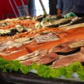 Variedade de Peixes