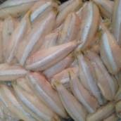 Manjuba Limpa
