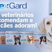 Disk Rações Totó - Loja 2