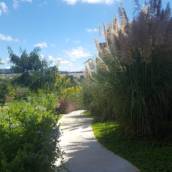 Paisagismo
