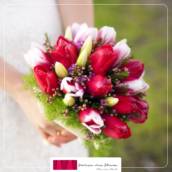 Que tal escolher as tulipas? 
