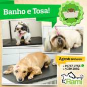 Banho e Tosa