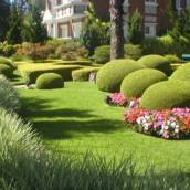 Jardinagem