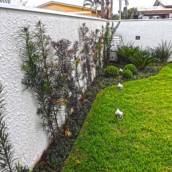 Jardinagem
