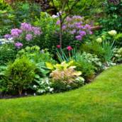 Jardinagem
