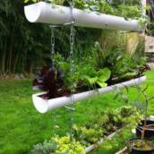 Jardinagem