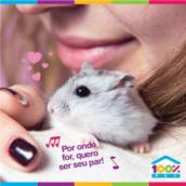 Llinha de Produtos para Hamsters!