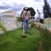 Manutenção de Jardins