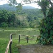 Paisagismo Rural