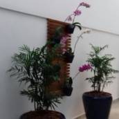 Nossos Serviços