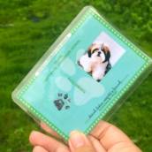 Plastificação de certidão de nascimento / RG do seu Pet (Cães e Gatos), polaseal - WSG Brasil
