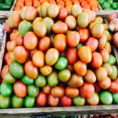 Tomate