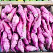 Batata Doce