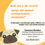 Adestramento para filhotes de cachorro