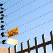 Instalação de cercas elétricas