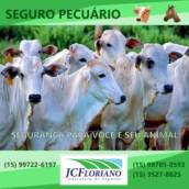 Seguro Pecuário