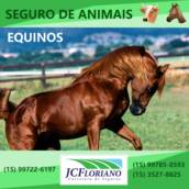 Seguro de Equinos