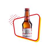 CERVEJAS LONG NECK
