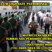 Vigilante Patrimonial