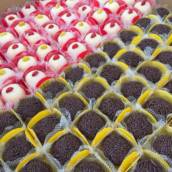 Brigadeiro e Beijinho 