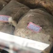 Maminha Temperada e Recheada