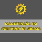 Empresa que faça Manutenção em Cortador de Grama em Itapetininga