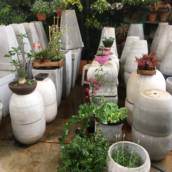Melhores opções de vasos de cimento para jardins em Itapetininga