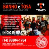 Curso Banho e Tosa