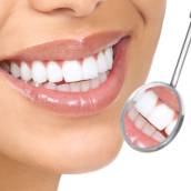 Periodontia