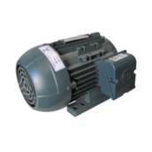 Motor Elétrico