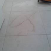 Repolimento
