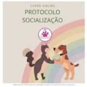 Adestramento Online para Socialização de Pets com Outros Animais ou Pessoas
