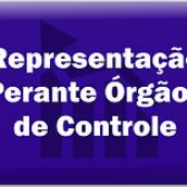 Representação perante órgãos de controle 