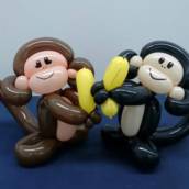 Macacos