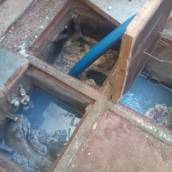 Limpeza Caixa de Gordura