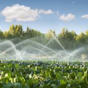 Produtos de Irrigação