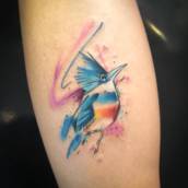Tatuagem Pássaro colorido