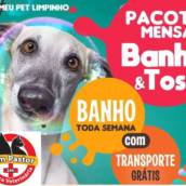 Banho e Tosa 